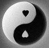 yin-yang yin-yang